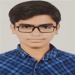 Patel Raj Dineshbhai